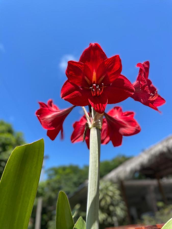 Hotel Hacienda El Diamante Villeta Luaran gambar